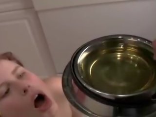 Zvezane dahlia pijača urin od a pes bowl