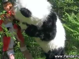 Plush panda fairytale za rdeča jahanje pokrov