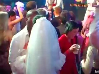 Glorious oversexed brides zīst liels gaiļus uz publisks