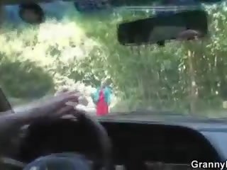 Viejo zorra consigue clavado en la coche por un desconocido