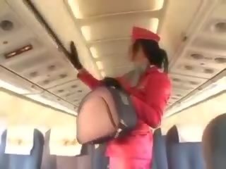 Tempting stewardess sucking manhood before cunnilingus